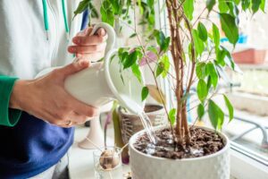 How to Start a Parent Ministry in Your Church